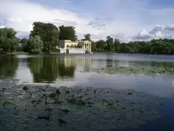 Колонистский парк в Петергофе, фото 93