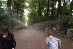 Фонтан-шутиха Водяная дорога в Петергофе
