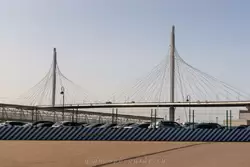 ЗСД, Вантовый мост через Петровский канал