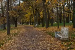 Аллея Екатерининского парка
