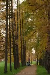 Золотая осень в Екатерининском парке, фото 92