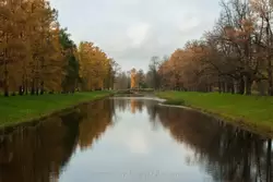 Золотая осень в Екатерининском парке, фото 29