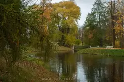 Золотая осень в Екатерининском парке, фото 41