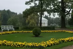 Цветники «Большие круги» в Павловске