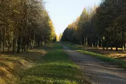 Ям-Ижорская аллея в Павловском парке