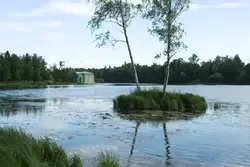 Озера и пруды в Гатчинском парке, фото 8
