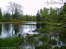 Ораниенбаум, пруд в Верхнем парке