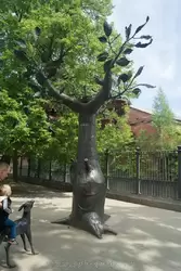 Дерево желаний в Кронштадте