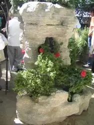 Выставка цветов в Михайловском саду