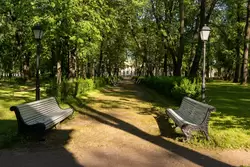 Центральная аллея сада Каменноостровского дворца
