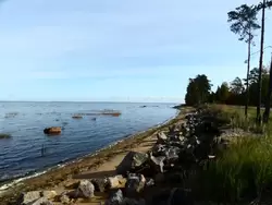 Финский залив в посёлке Лебяжье