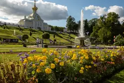 Яркие цветы у Большого каскада в Петергофе