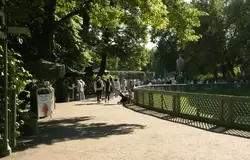 Летний сад в Санкт-Петербурге летом