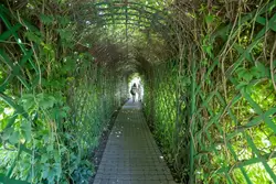Парк Диво Остров, зелёный коридор
