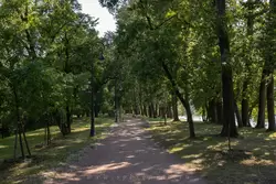 Дорожка в парке Екатерингоф