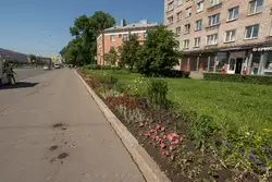 Газон на проспекте Стачек в Санкт-Петербурге