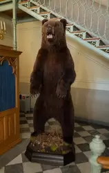 Чучело медведя — Александр II был заядлым охотником