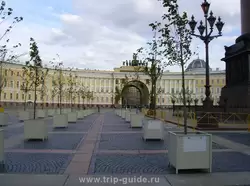 На Дворцовой площади выросли деревья