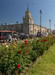 Розы и высотка со шпилем на Московском проспекте в Санкт-Петербурге