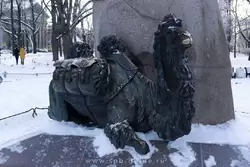 Верблюд у памятника Пржевальскому