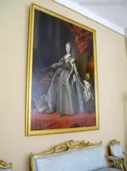 Екатерининский дворец, портреты дома Романовых