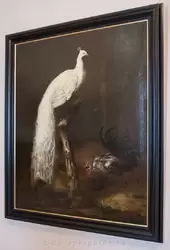 Гроот Иоганн Фридрих «Белый павлин»