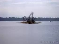 Остров на озере Вуокса