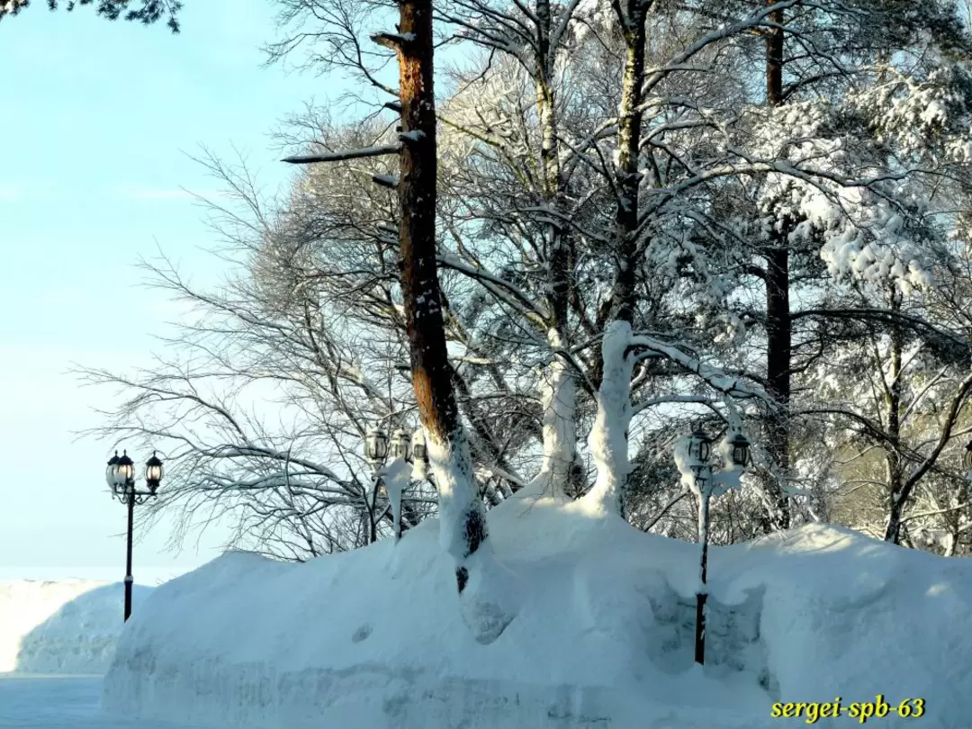Комарово Комарово
