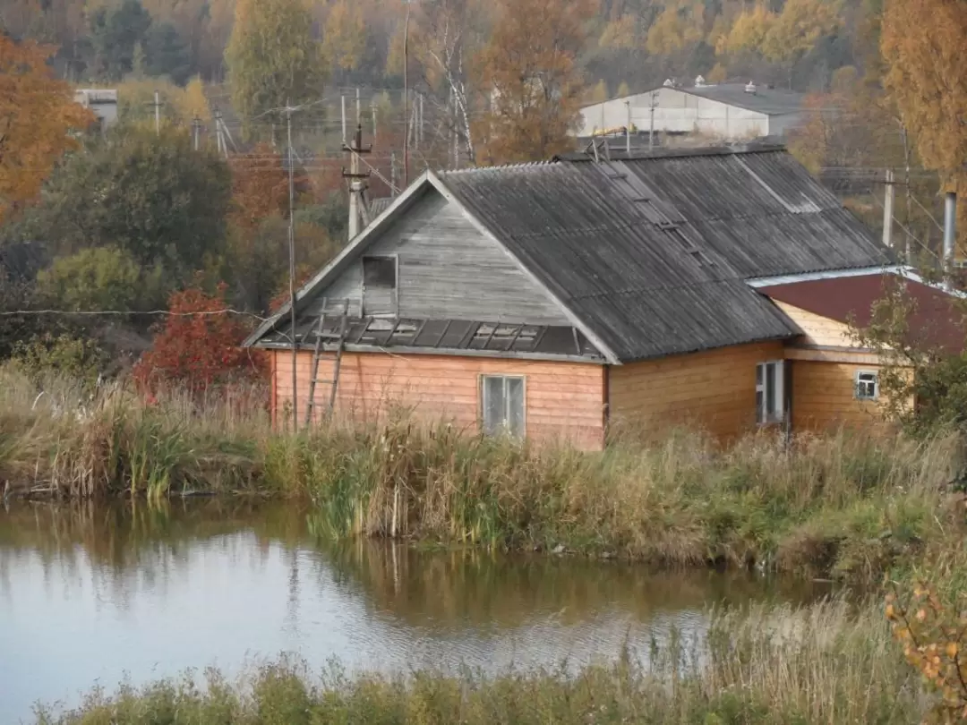 В. Бронна. У пруда В. Бронна. У пруда