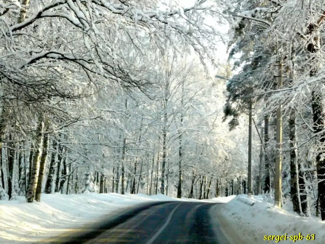 Зеленогорск Зеленогорск
