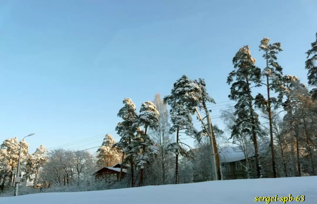 Зимняя дорога Зимняя дорога