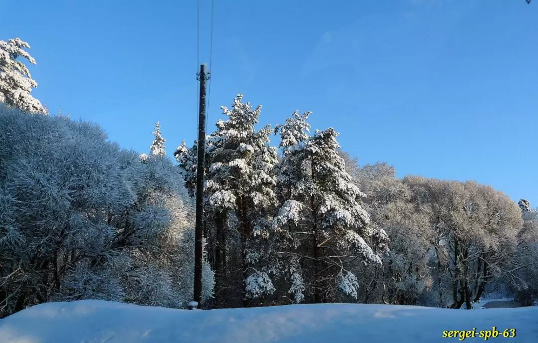 Зимняя дорога Зимняя дорога