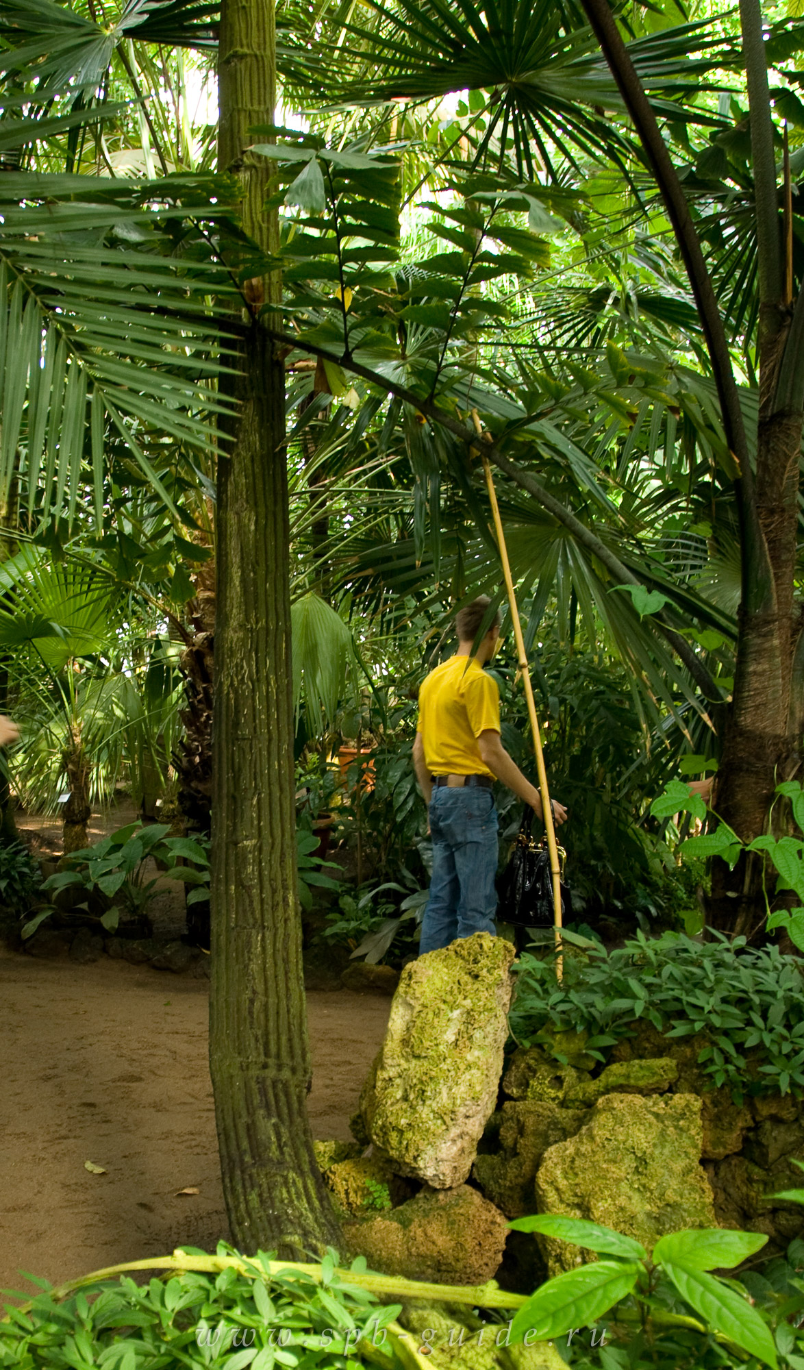 Ботанический сад, фото 17
