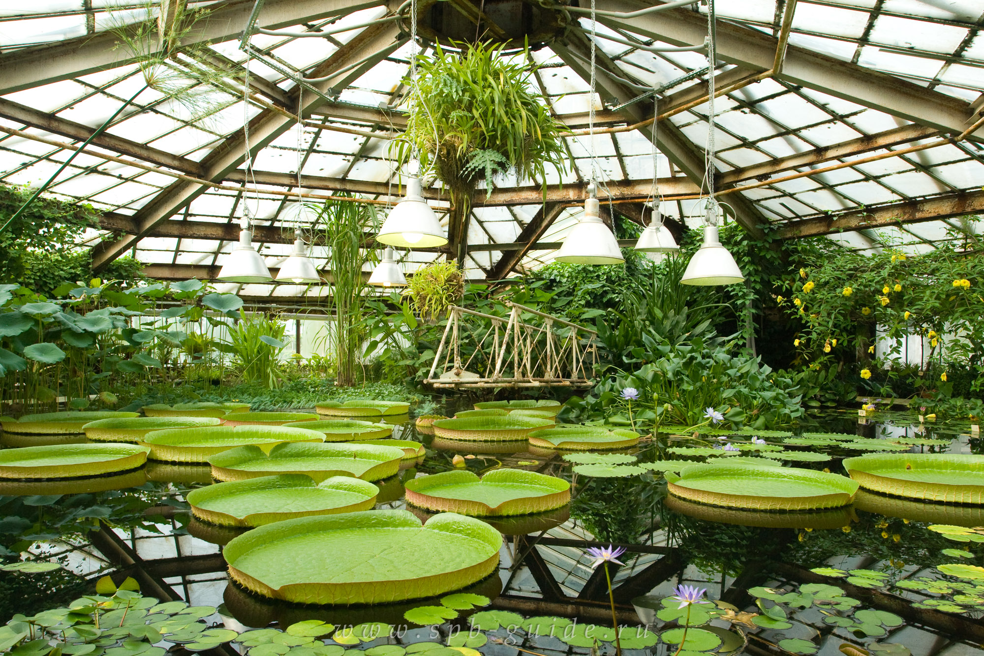 Ботанический сад на ботанической москва