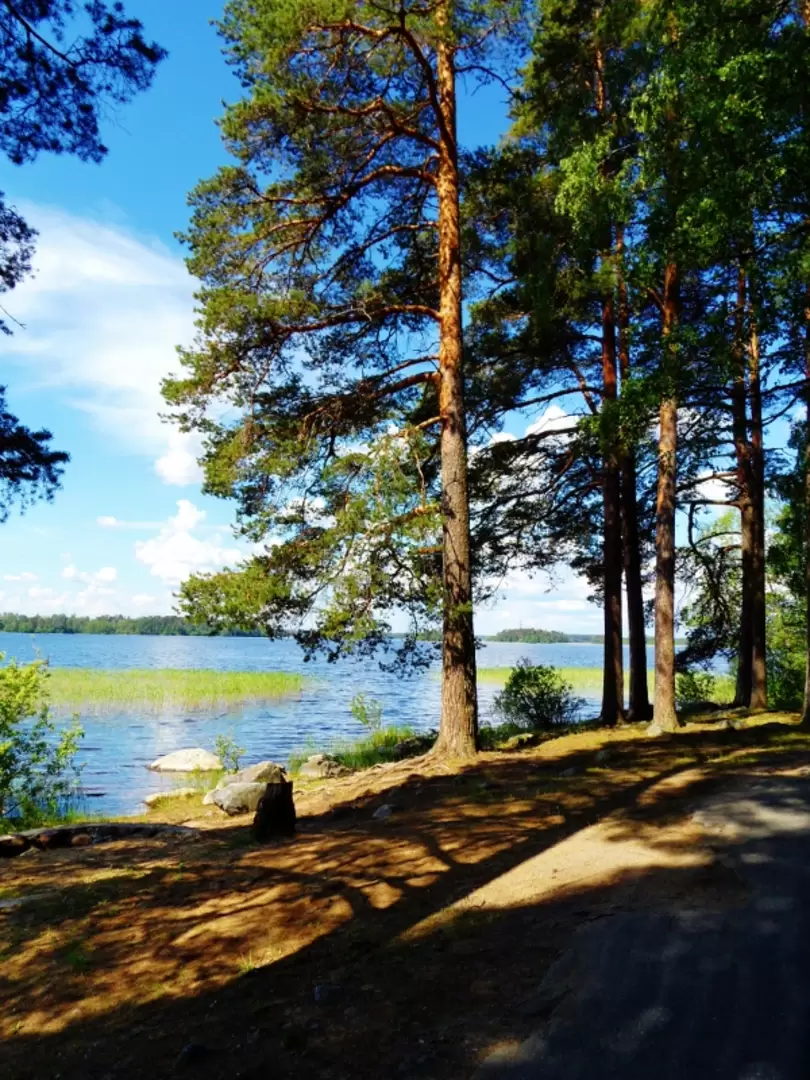 Парк отдыха на острове Каменистый