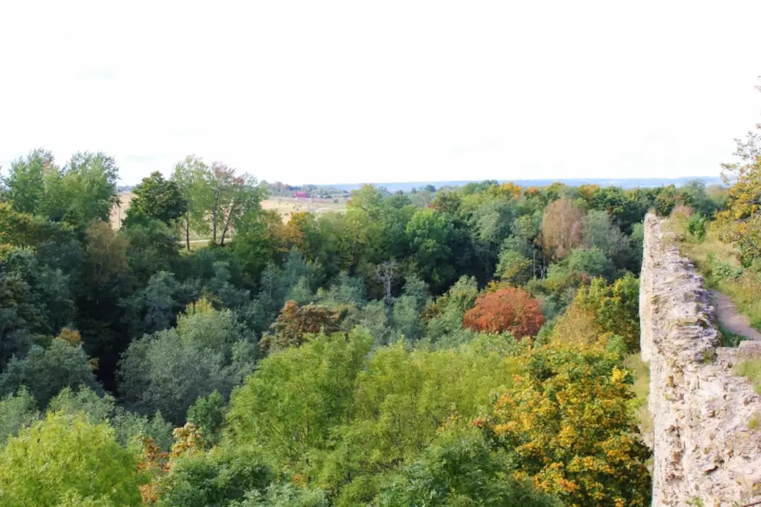 Крепость Копорье, фото 100