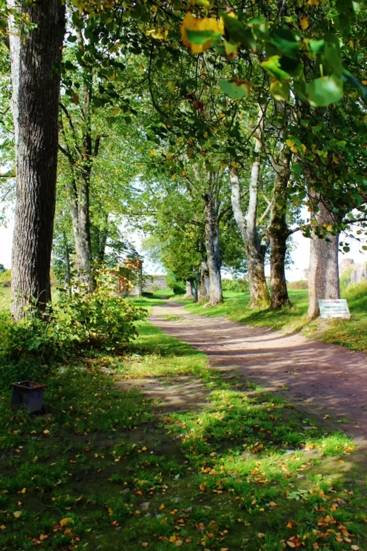 Крепость Копорье, фото 97
