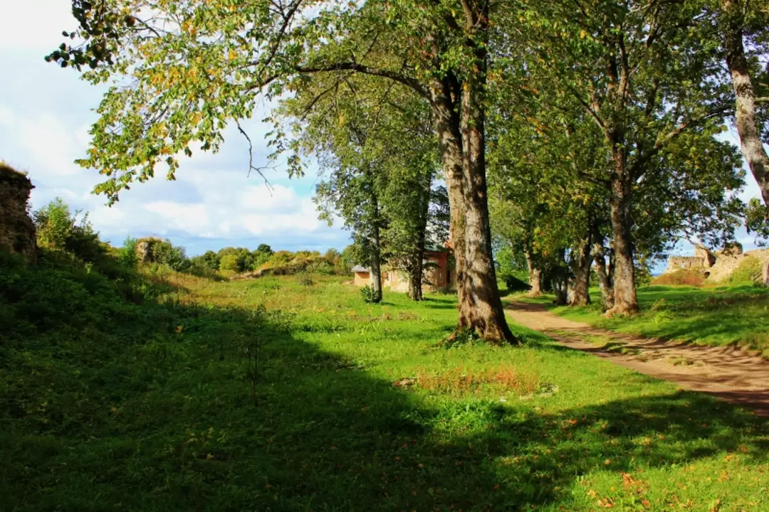 Крепость Копорье, фото 90