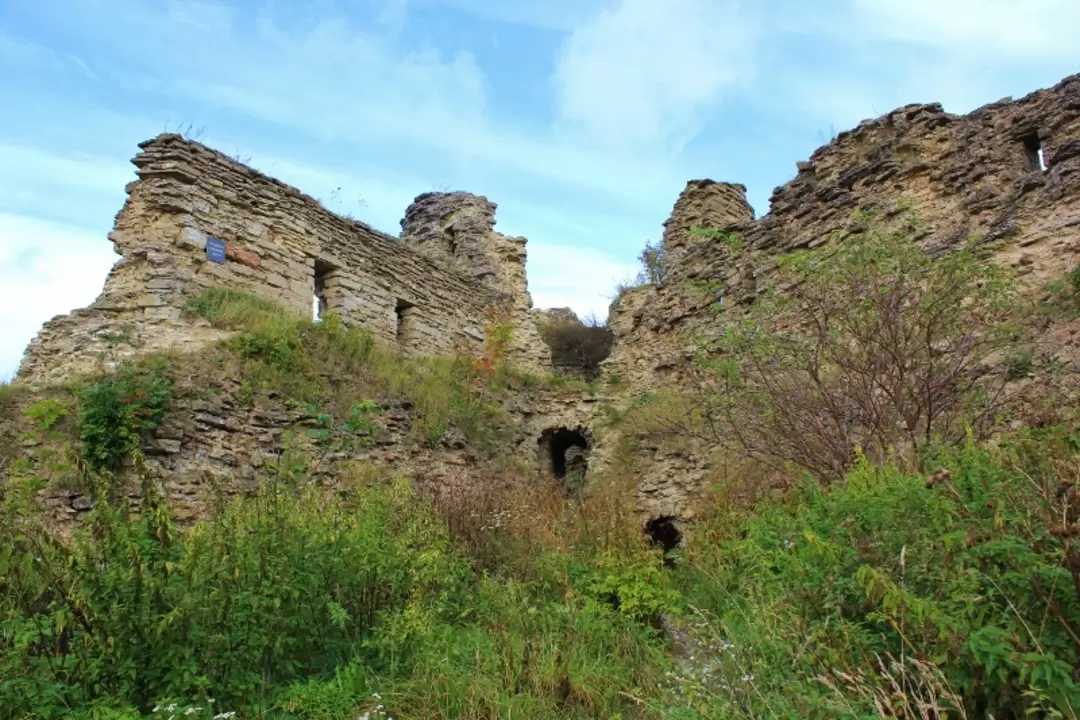 Крепость Копорье, фото 78 Крепость Копорье, фото 78