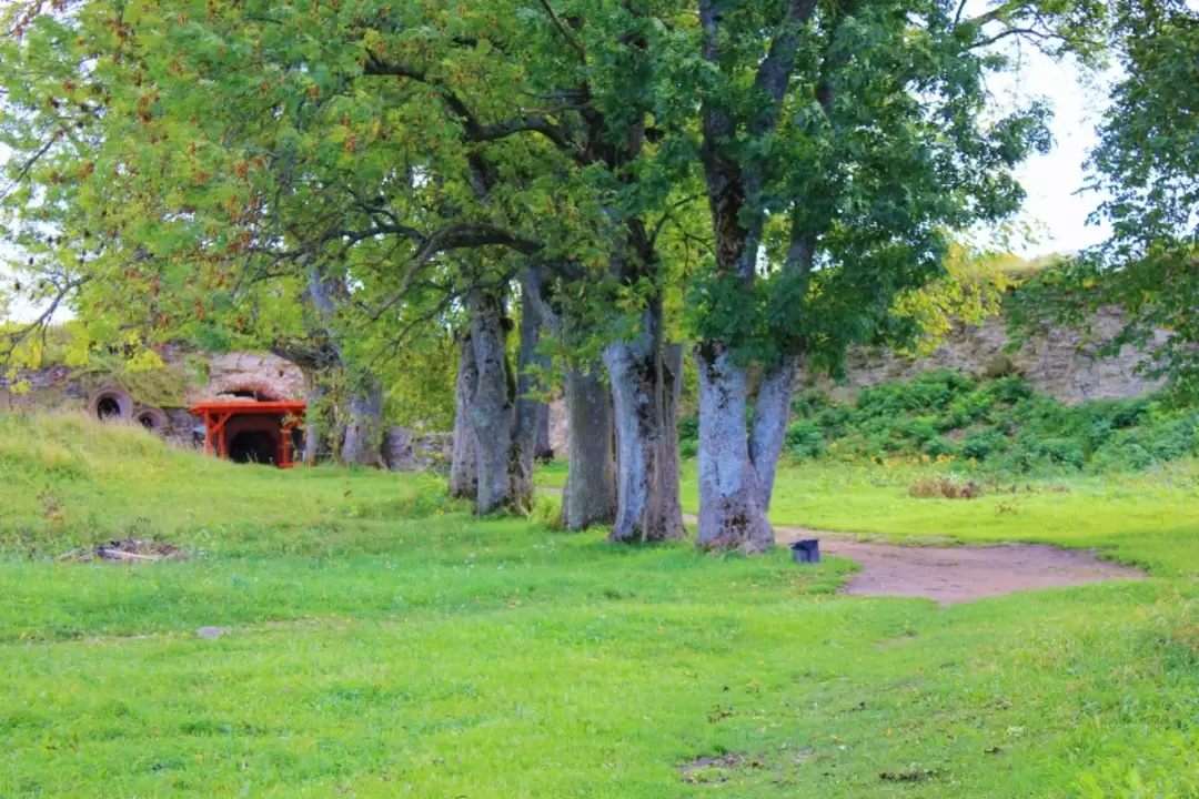 Крепость Копорье, фото 72 Крепость Копорье, фото 72