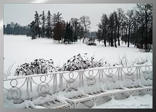 В Пушкине В Пушкине