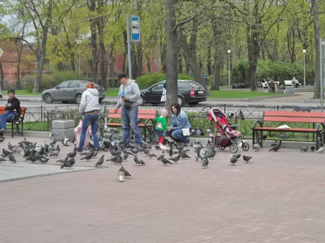 Андреевский сад Андреевский сад