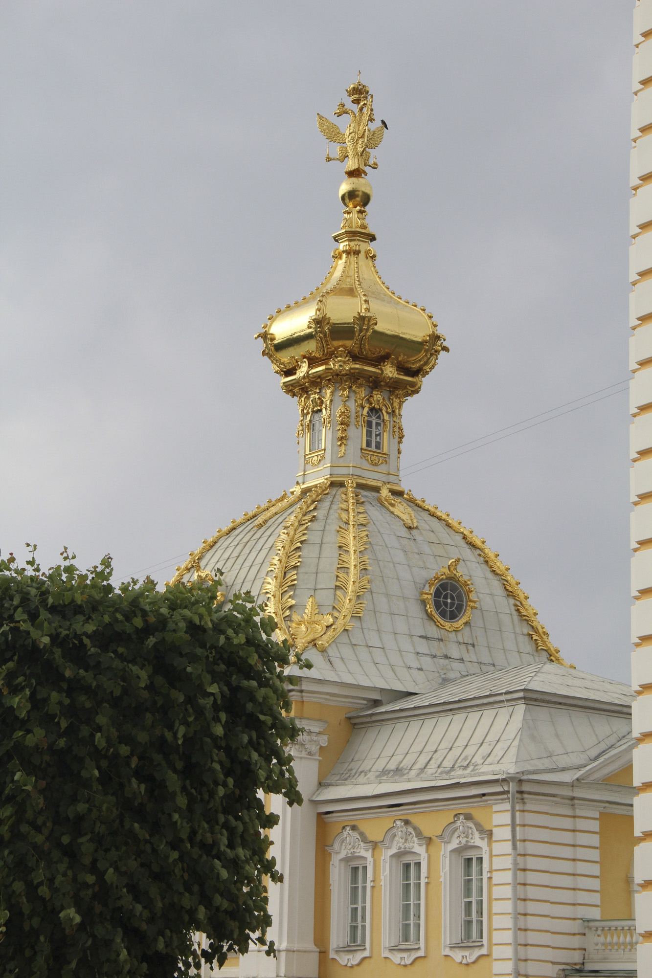 Герб России Герб России