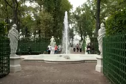 Летний сад