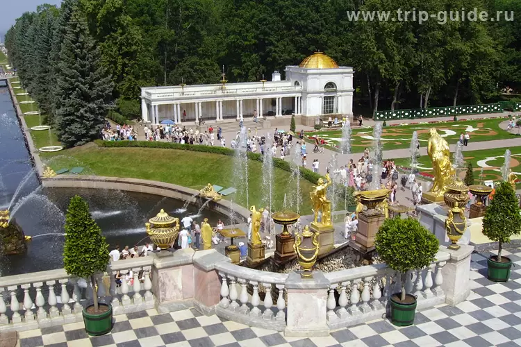 Фонтаны Петергофа Фонтаны Петергофа