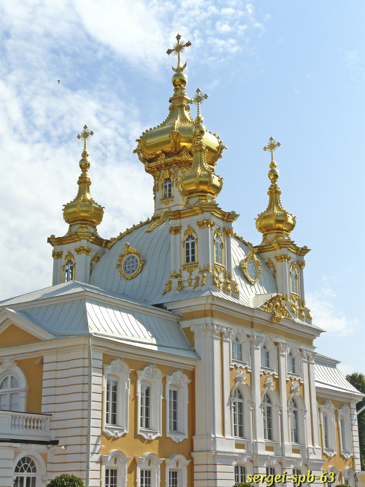 Большой дворец в Петергофе, фото 92 Большой дворец в Петергофе, фото 92