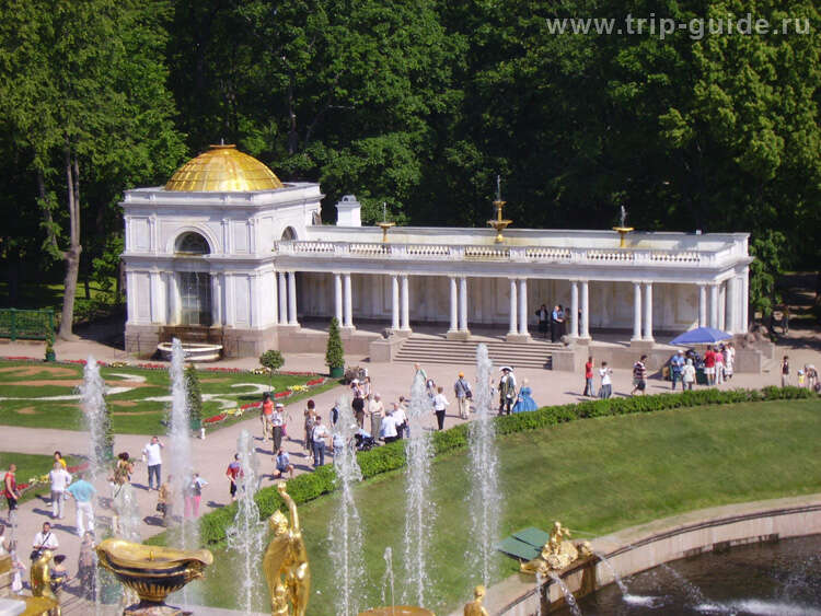 Петергоф мед. Воронихинские колоннады в Петергофе. Петергоф Нижний парк Воронихинские колоннады. Мраморные Воронихинские колоннады Петергоф. Колоннады и Каскад в Петергофе.