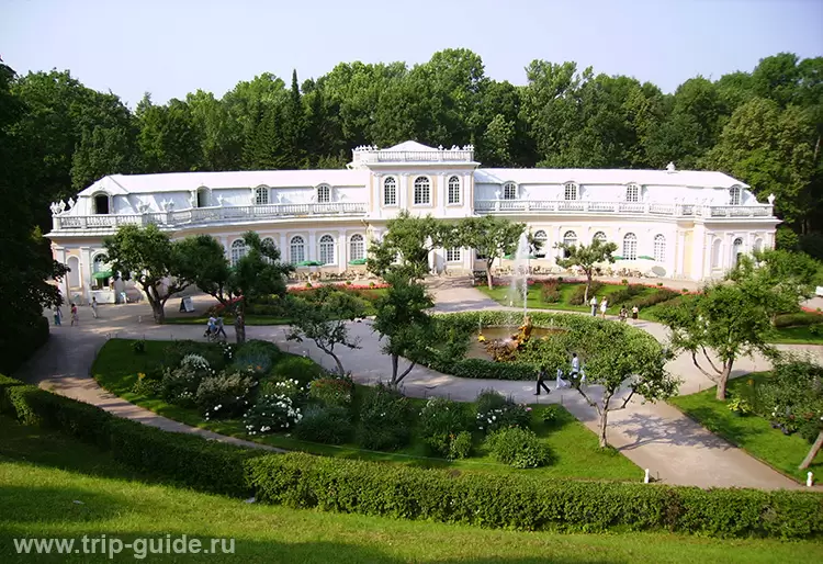 Петергоф, Большая оранжерея
