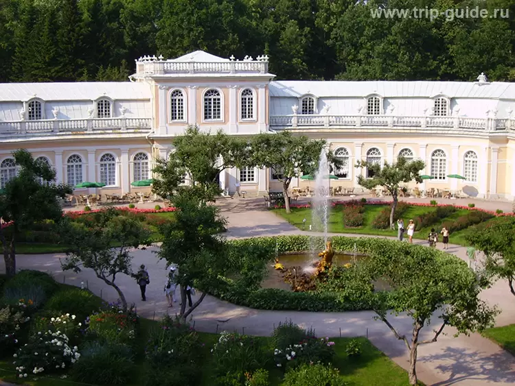 Петергоф, Большая оранжерея Петергоф, Большая оранжерея