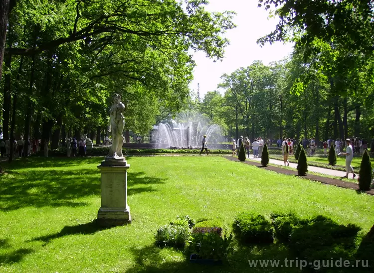 Нижний парк Петергофа Нижний парк Петергофа